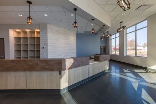This image of the reception lobby wide view at Montclair Animal Clinic shows front desk counters, pendant lighting, blue accent wall, display shelving, and large windows.