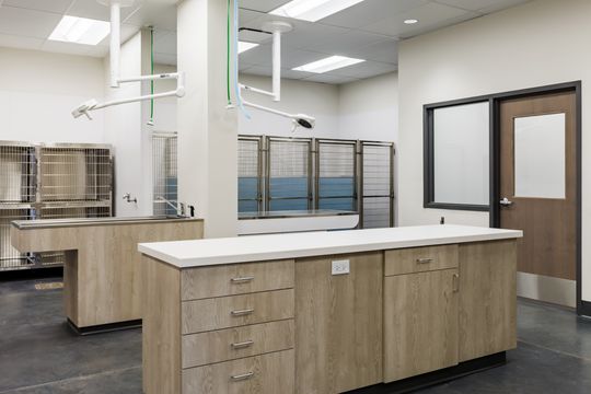 This image of the treatment island detail at Montclair Animal Clinic shows a wood treatment island, white countertop, kennel room behind, and veterinary work area.