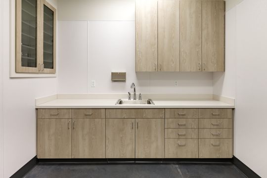 This image of the exam room cabinetry wall at Montclair Animal Clinic shows light wood lower cabinets, white counter, upper cabinetry, sink, and wall-mounted storage.