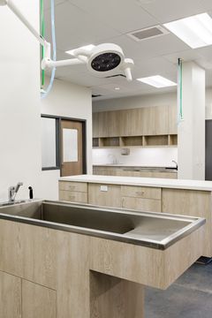 This image of the exam table and sink detail at Montclair Animal Clinic shows a stainless exam table, sink cabinet, overhead light, open storage, and clean white walls.