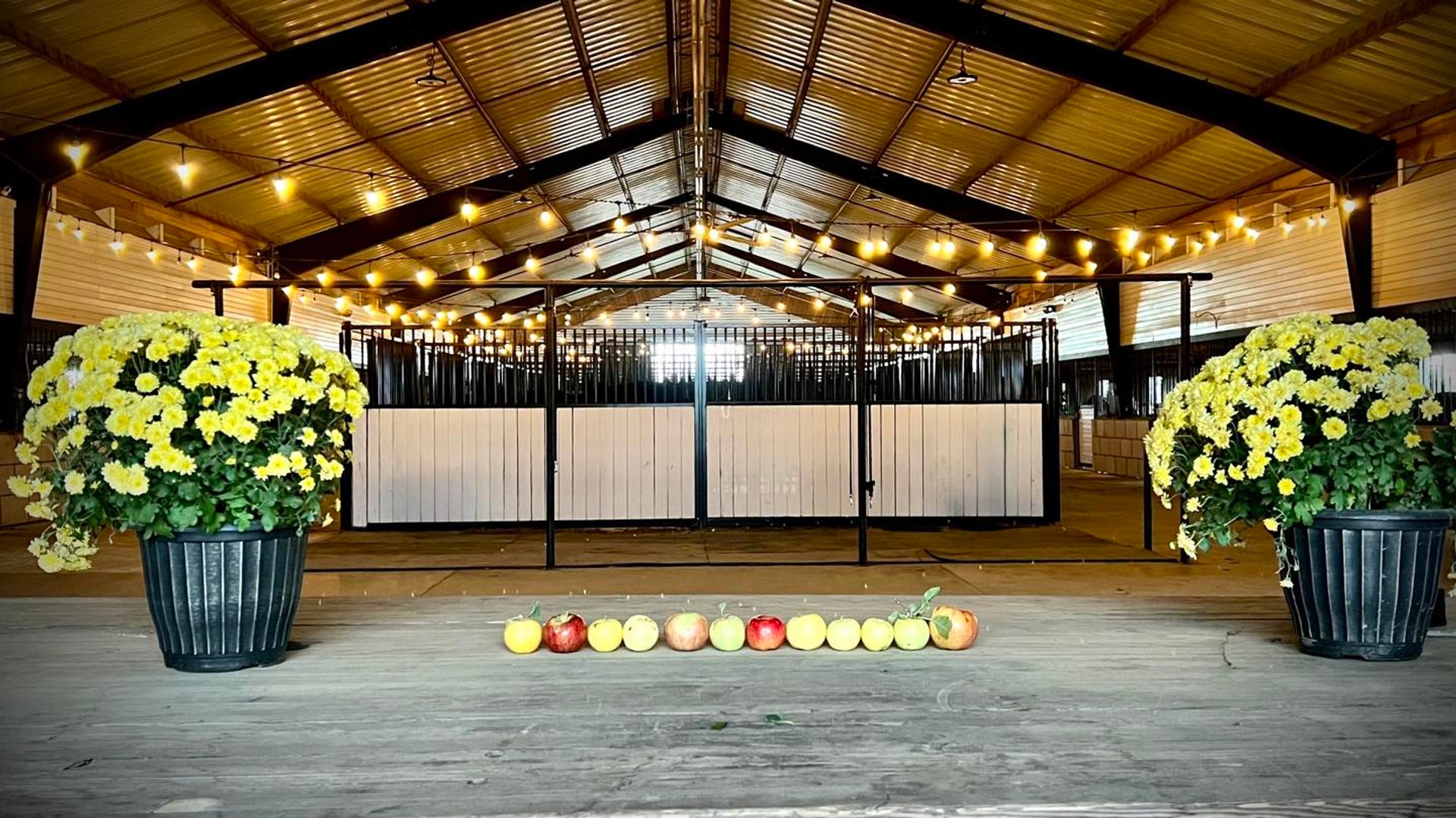 Ride with Heart. Train with Purpose. 