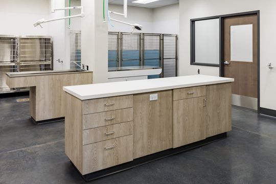 This image of the treatment island and kennel view at Montclair Animal Clinic shows a central work island, stainless kennel bank, door, and bright clinical lighting.