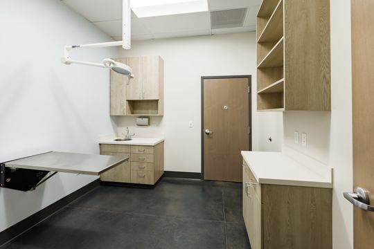 This image of the private exam room at Montclair Animal Clinic shows a black exam table, sink cabinet, storage shelves, wall equipment, and clean clinical finishes.