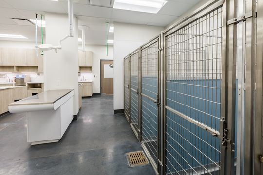 This image of the kennel runs and treatment area at Montclair Animal Clinic shows metal kennel enclosures, treatment counters, sink stations, and bright clinic lighting.