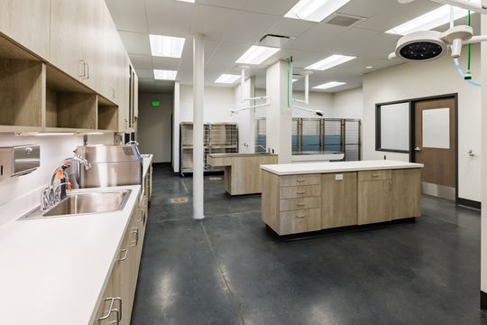 This image of the treatment room overview at Montclair Animal Clinic shows treatment counters, central island, kennel units, ceiling lights, and open veterinary workspace.