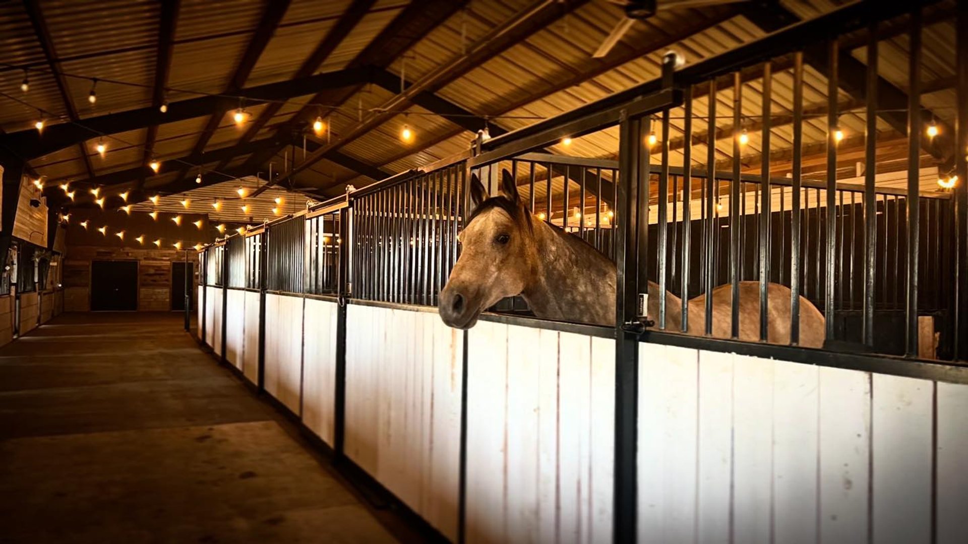 Ride with Heart. Train with Purpose. 