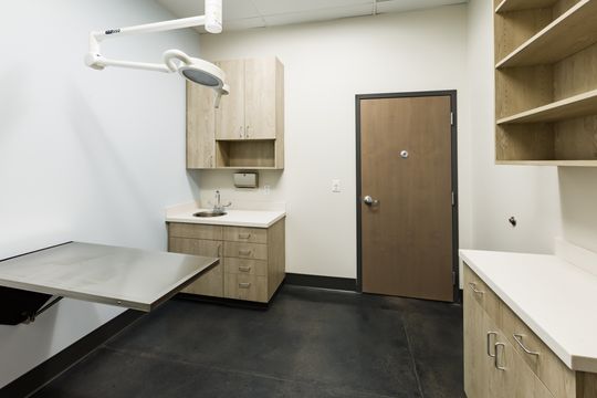 This image of the exam room wide detail at Montclair Animal Clinic shows a black exam table, sink cabinet, door, open shelving, and wall-mounted exam light.