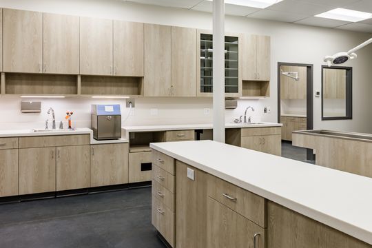 This image of the clinical workroom and cabinets at Montclair Animal Clinic shows a central island, sink counters, light wood cabinetry, and open veterinary treatment space.