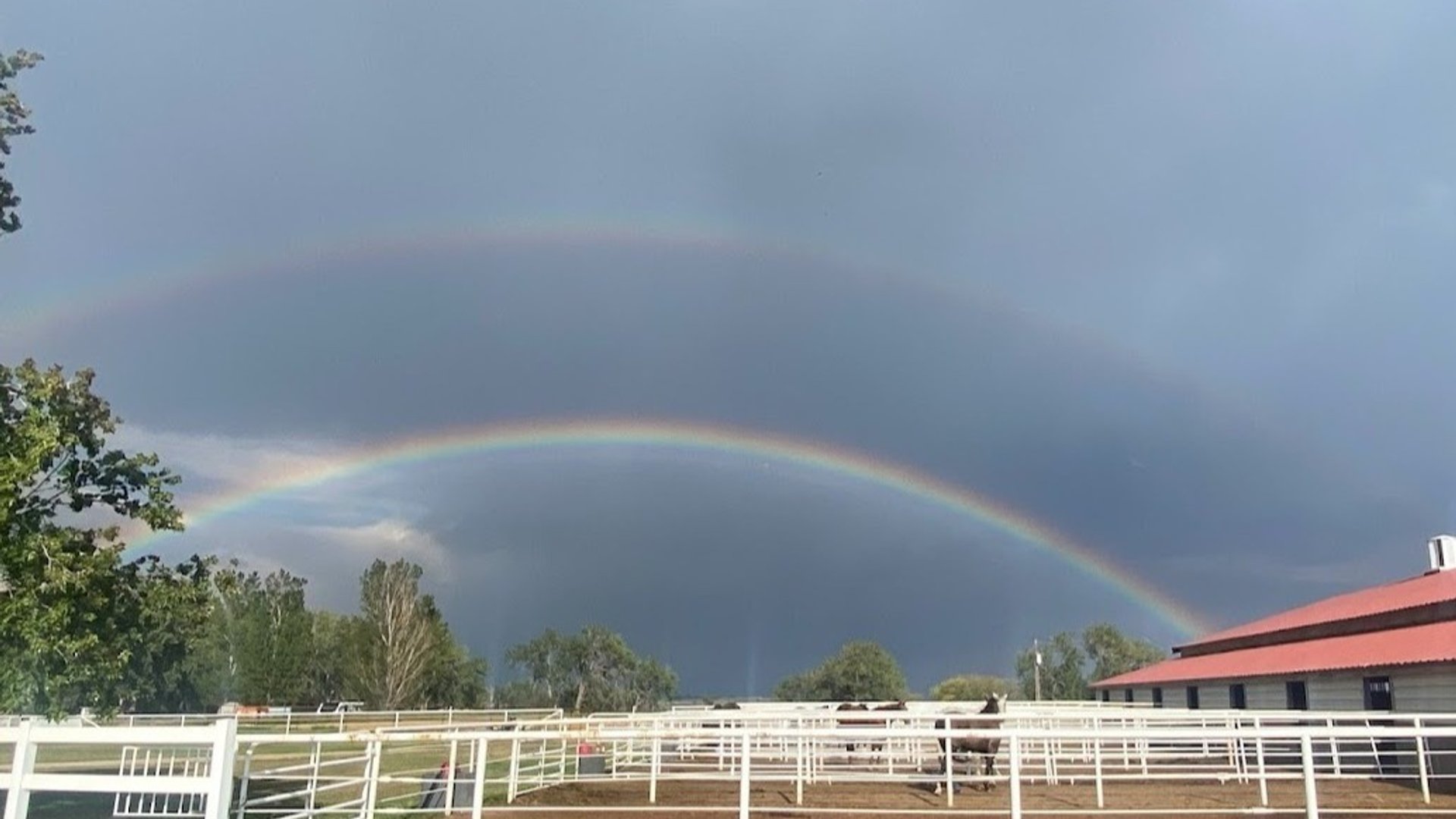 Ride with Heart. Train with Purpose. 