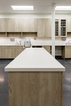 This image of the treatment island detail at Montclair Animal Clinic shows a central work island, surrounding cabinets, dark flooring, and clean clinical room layout.