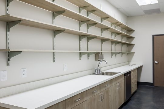 This image of the supply shelving and counter at Montclair Animal Clinic shows wall-mounted shelves, white counter, sink, light wood cabinets, and clinical supply organization.