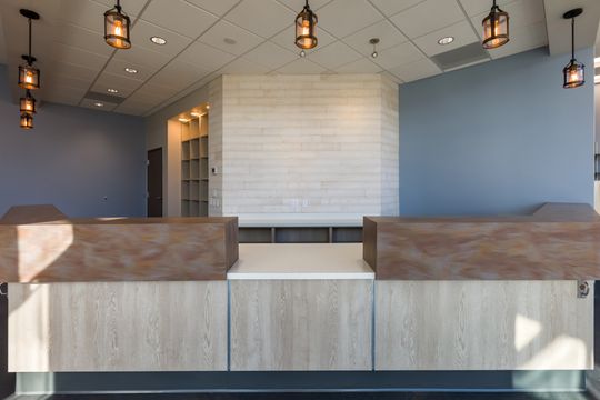 This image of the reception desk detail at Montclair Animal Clinic shows a wood and stone reception counter, pendant lights, blue accent wall, and bright window light.