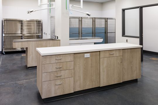 This image of the treatment island and kennels at Montclair Animal Clinic shows a central work island, stainless kennel banks, glass panels, and light wood cabinetry.
