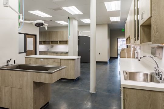 This image of the treatment room sink and island at Montclair Animal Clinic shows a sink station, central work island, exam table, cabinetry, and clinical room access.