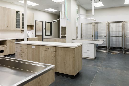 This image of the open veterinary treatment room at Montclair Animal Clinic shows a central treatment island, exam tables, sink stations, kennel runs, and bright clinical lighting.
