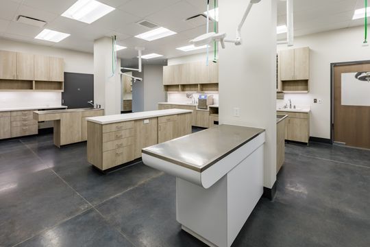 This image of the veterinary treatment table room at Montclair Animal Clinic shows a padded treatment table, central island, cabinetry, and open clinical workspace.