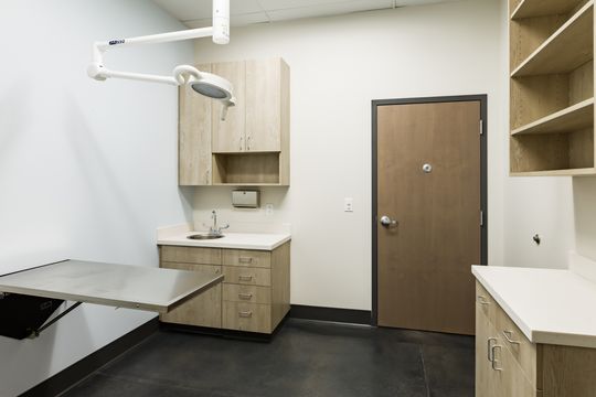 This image of the exam room with treatment table at Montclair Animal Clinic shows a black exam table, overhead task light, sink cabinet, door, and storage shelving.