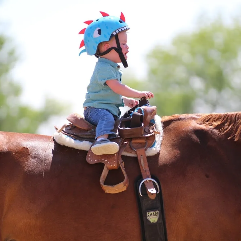 518345068 731554522958533 3299304346573577135 N.jpg