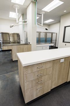This image of the vertical treatment island view at Montclair Animal Clinic shows a central clinical island, surrounding counters, kennel enclosures, and bright treatment room lighting.