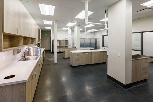 This image of the treatment room work area at Montclair Animal Clinic shows treatment tables, sink stations, light wood cabinetry, white counters, and dark clinical flooring.