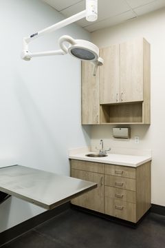 This image of the compact exam room at Montclair Animal Clinic shows a black exam table, wall-mounted light, sink cabinetry, and neutral veterinary exam room finishes.