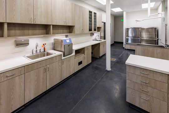 This image of the veterinary treatment area at Montclair Animal Clinic shows counters, sink stations, storage cabinetry, stainless kennel units, and open clinical workspace.